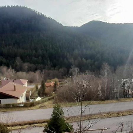 Chalet Le Bruleux La Bresse Kültér fotó